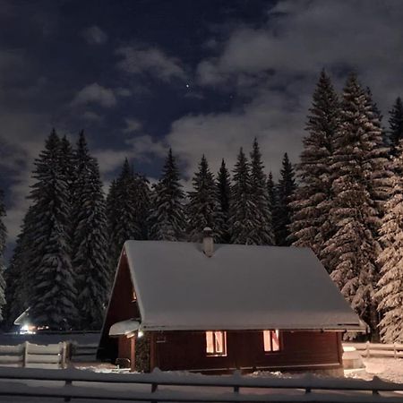 Cosy Chalet On Pokljuka - Brunarica Tinkara Zgornje Gorje Exteriör bild