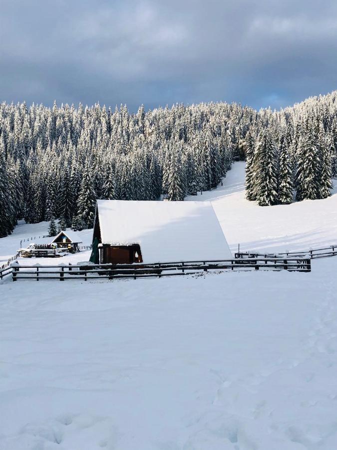 Cosy Chalet On Pokljuka - Brunarica Tinkara Zgornje Gorje Exteriör bild
