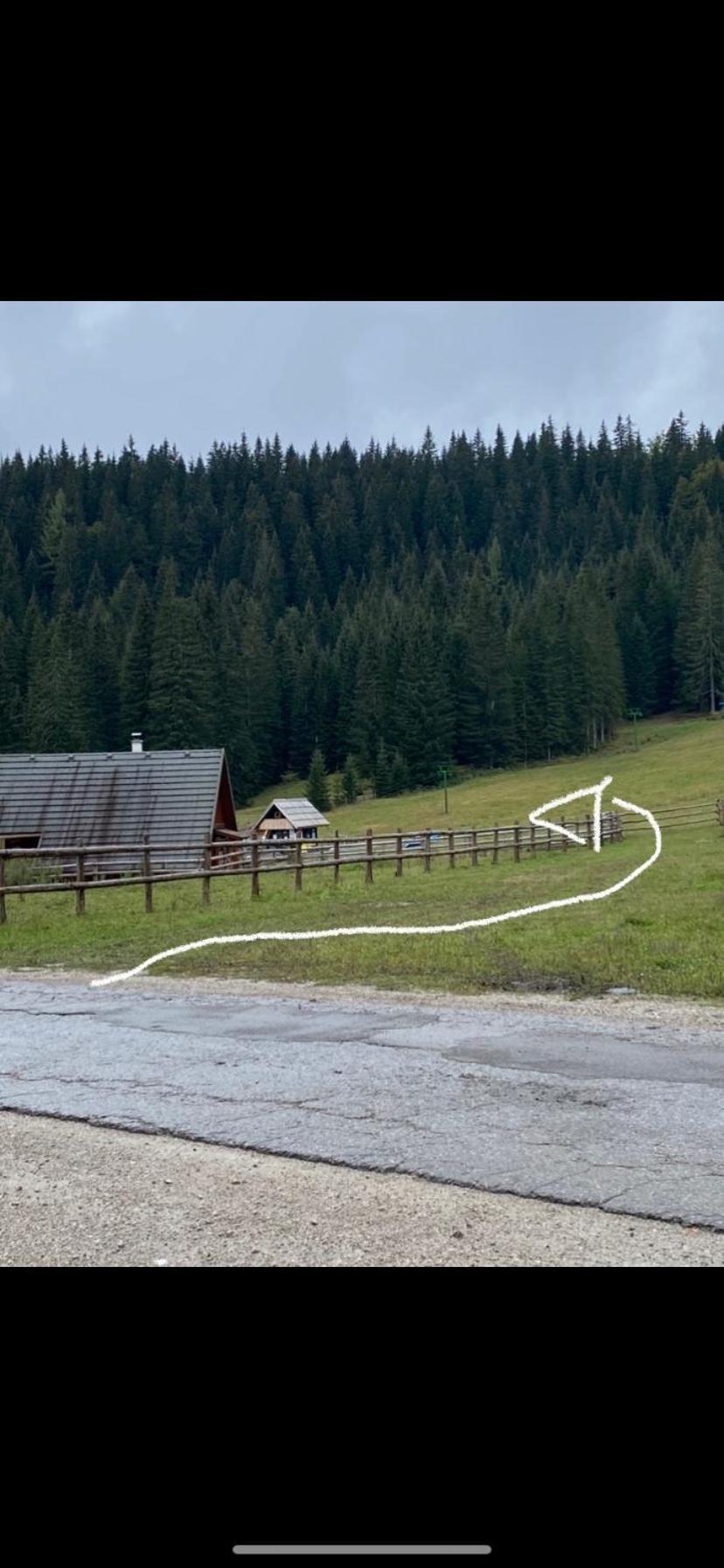 Cosy Chalet On Pokljuka - Brunarica Tinkara Zgornje Gorje Exteriör bild