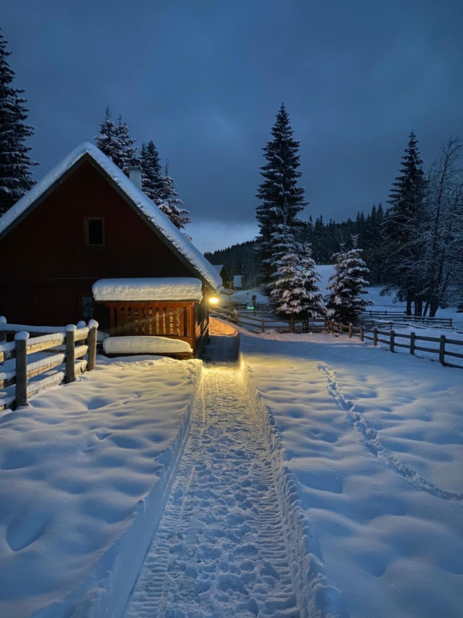 Cosy Chalet On Pokljuka - Brunarica Tinkara Zgornje Gorje Exteriör bild
