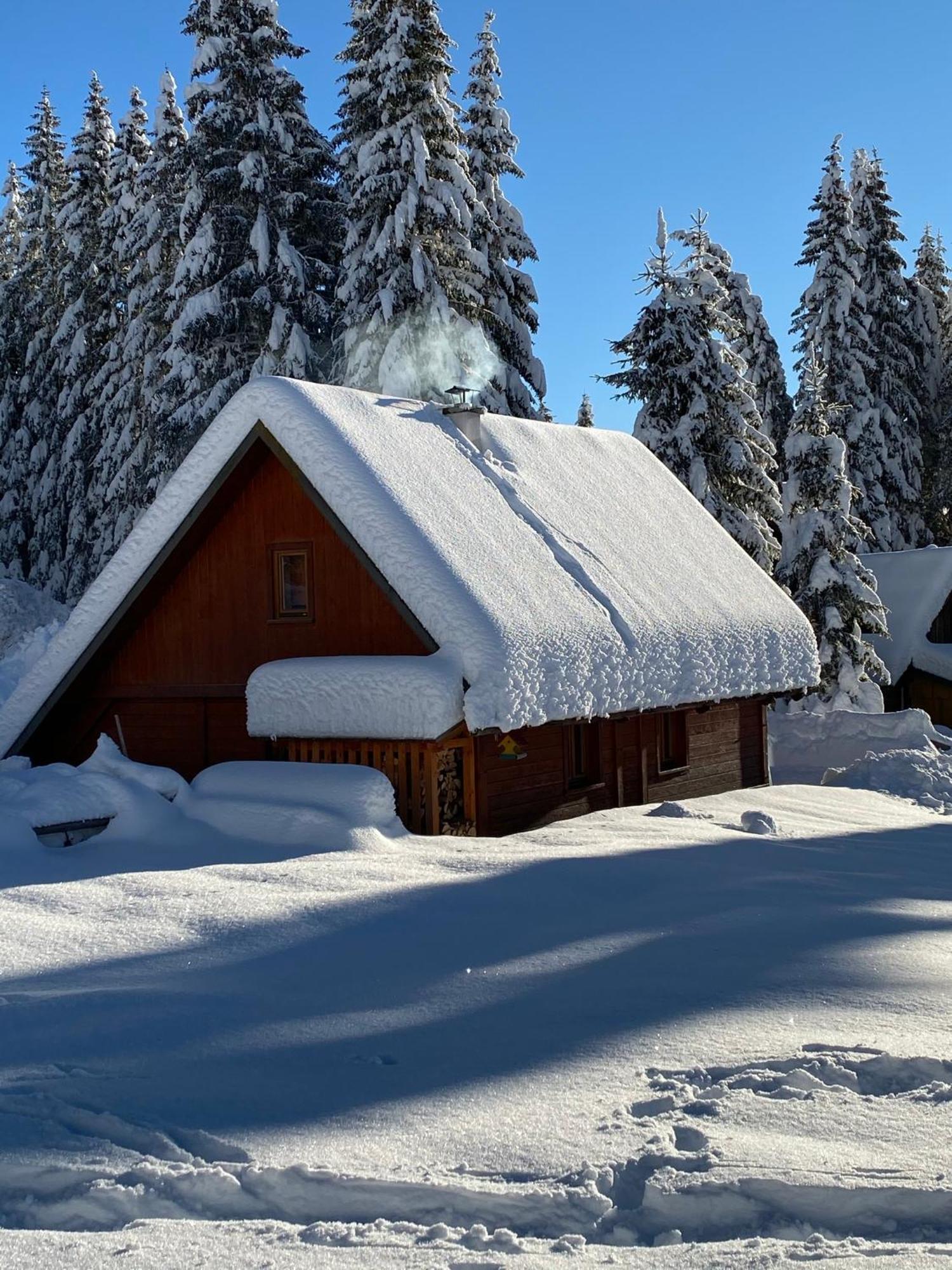 Cosy Chalet On Pokljuka - Brunarica Tinkara Zgornje Gorje Exteriör bild