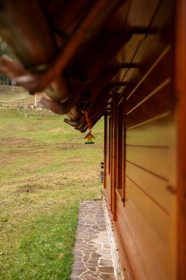 Cosy Chalet On Pokljuka - Brunarica Tinkara Zgornje Gorje Exteriör bild